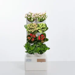 Bush-8 giardino verticale 8 vasi auto innaffianti esterno interno dalia bianco opaco serbatoio 4 l. pompa usb 26x24xh63.5 cm