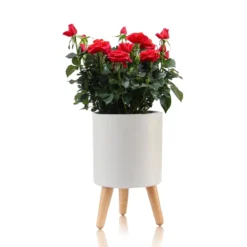 Calla-a vaso autoinnaffiante esterno interno bianco opaco e legno massello finitura rovere 1.5 litri d19xh33 cm