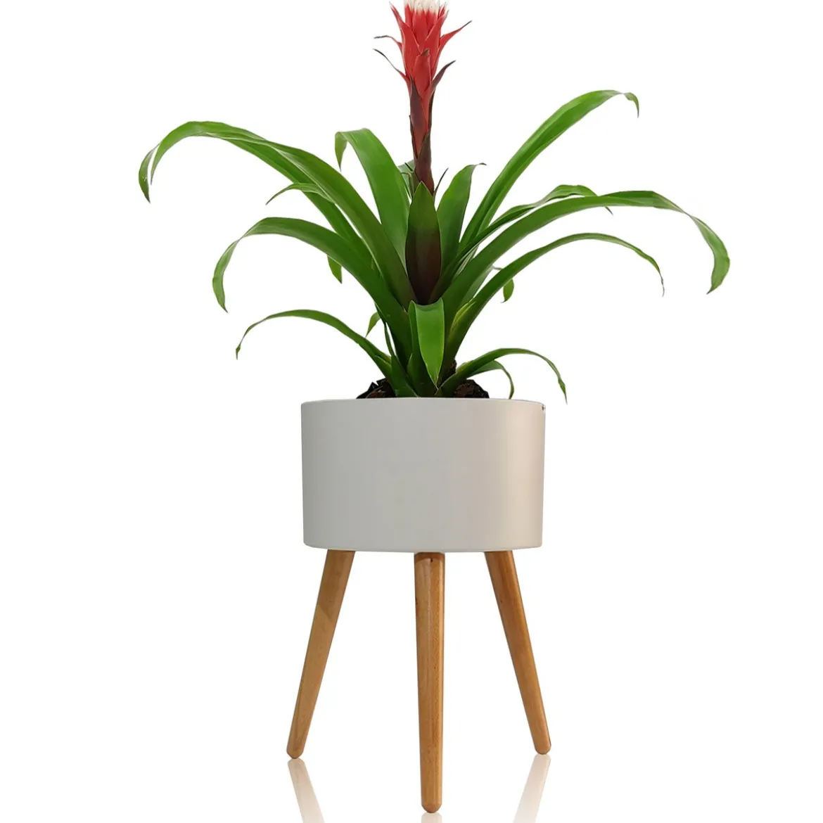 Calla-c vaso autoinnaffiante esterno interno bianco opaco e legno massello finitura rovere 3.5 litri d33xh48 cm