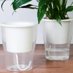 Raffy medium vaso autoinnaffiante per esterno e interno fiordaliso medium di bianco opaco e trasparente d17.3xh17 cm
