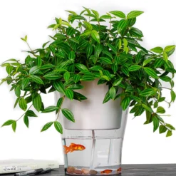 Raffy medium vaso autoinnaffiante per esterno e interno fiordaliso medium di bianco opaco e trasparente d17.3xh17 cm