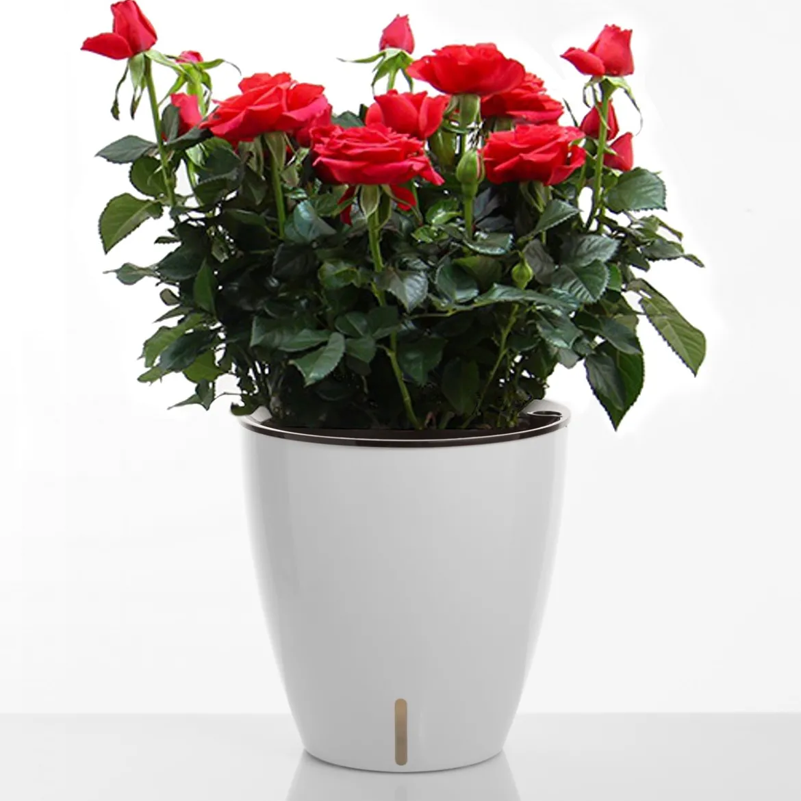 Tulip vaso autoinnaffiante per esterno e interno bianco lucido d35xh36 cm