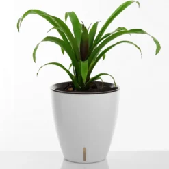Tulip vaso autoinnaffiante per esterno e interno bianco lucido d35xh36 cm