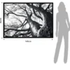 Winter tree quadro stampa su tela h90 l140 p3 cm